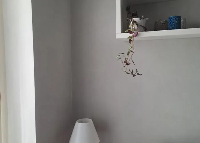 Nel Cuore Di - Laterale Via Farini * Парма